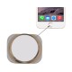Home Button iPhone 6 -White/Gold