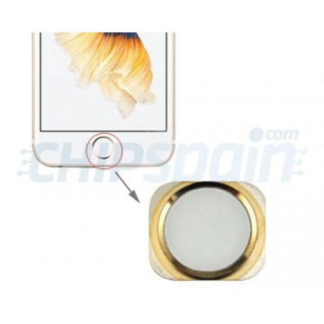 Botón Home iPhone 6S -Blanco/Oro